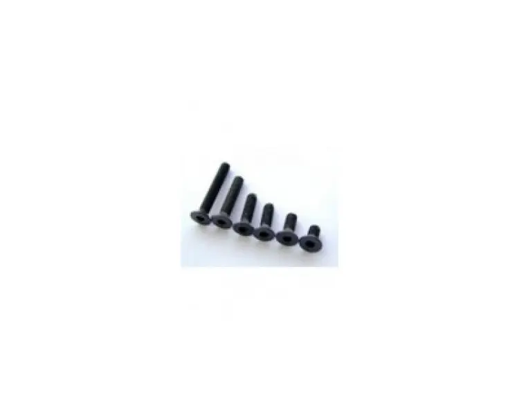 VITE A BRUGOLA TESTA SVASATA 2X16MM (10) Promo Stagionale