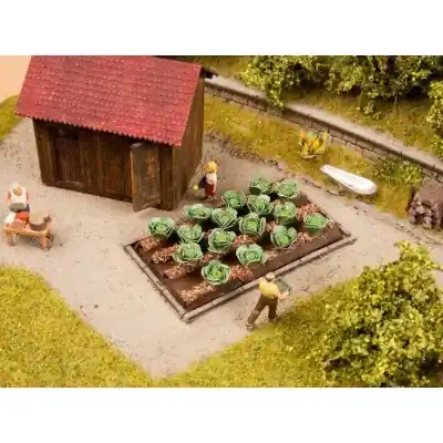 NOCH 13217 - Campo di cavolo 3 x 6 cm 16 piante Economico