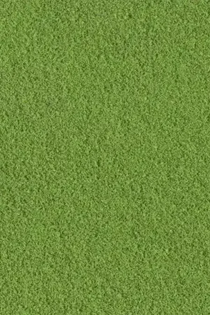 WOODLAND SCENICS T45 - Fogliame fine erba verde Busta Prezzo Basso