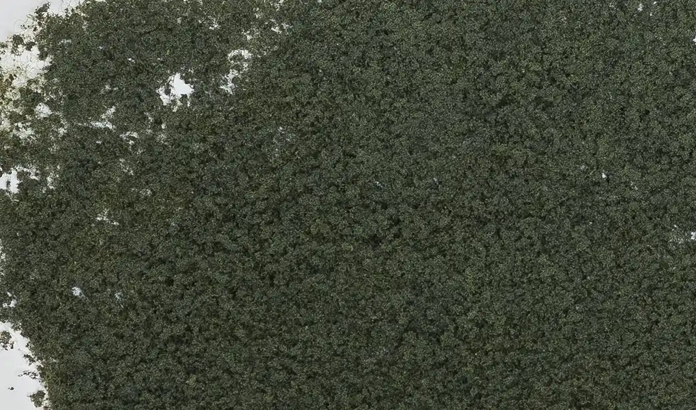 WOODLAND SCENICS F54 - Fogliame verde conifera Busta Compra Online