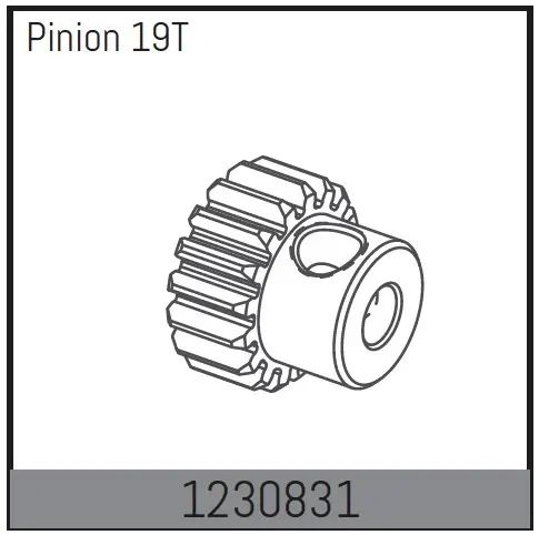 Motor Pinion 19T Ultima Occasione