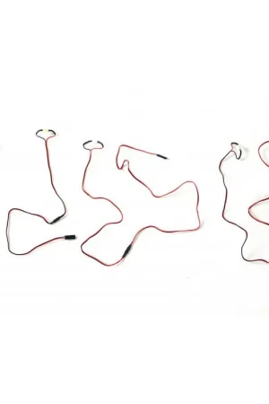 Vendita Finale FMS NANCHANG CJ6 V2 LED SET