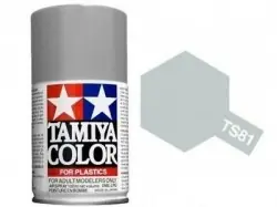 Scelto Dai Clienti SPRAY Royal Light Gray