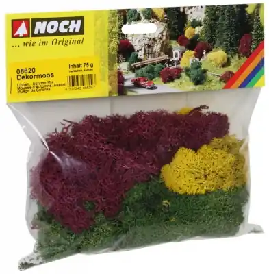 Promozione Esclusiva NOCH 08620 - Licheni colori autunnali, 75 g