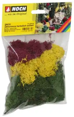 NOCH 08630 - Licheni colori autunnali, 35 g Prezzo Basso