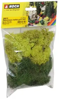NOCH 08610 - Licheni verde, 35 g. Saldi