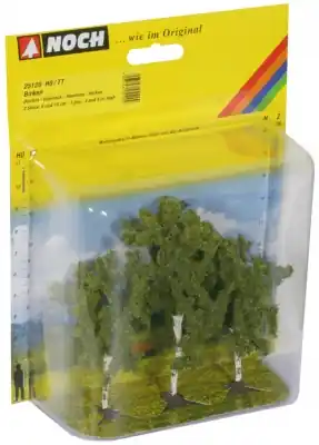 Vendita Finale NOCH 25120 - Alberi Betulla, 3 pz. 8-10 cm