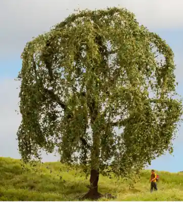 Vendita Finale NOCH 20115 Albero salice piangente, altezza 15 cm