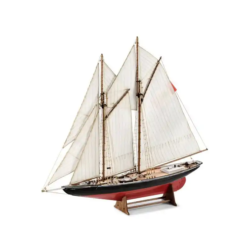 Acquista Ora BLUENOSE AMATI