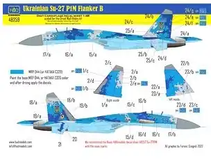 Consegna Rapida Ukrainian Su-27 P1M