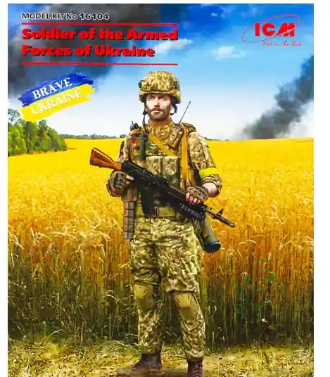 Soldier of the Armed Forces of Ukraine Professionale