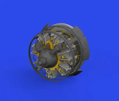Esclusivo F4F-3