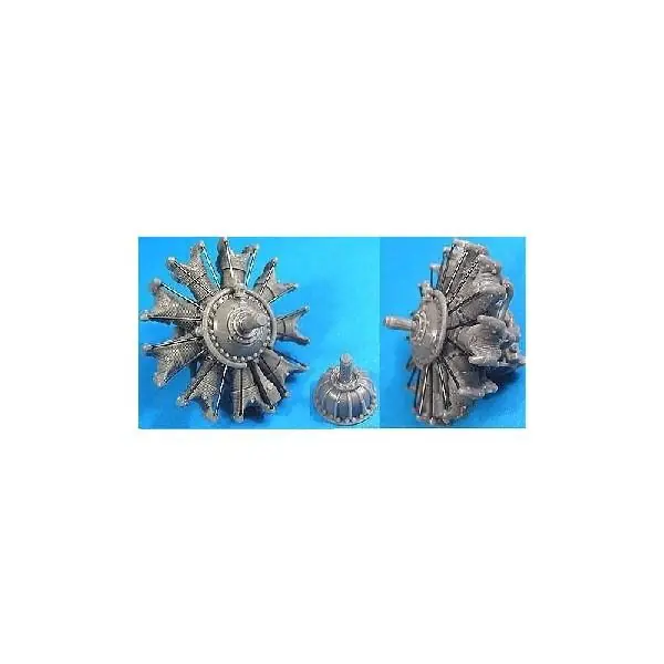 Offerta Limitata P&W R-1340