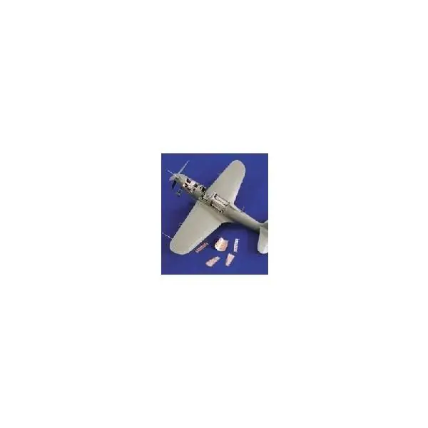 Compra Oggi Stesso P-39 AIRACOBRA