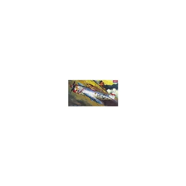 Affare P-47 D BUBBLE TOP