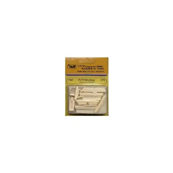 P-51B ENGINE /RE/ Must-Have