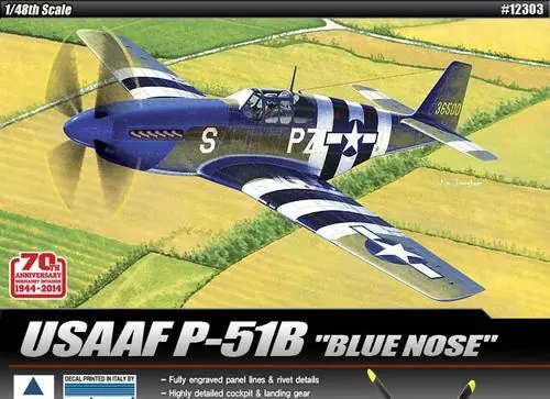 Acquista Ora P-51B MUSTANG
