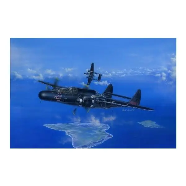 Affare P-61B Black Widow