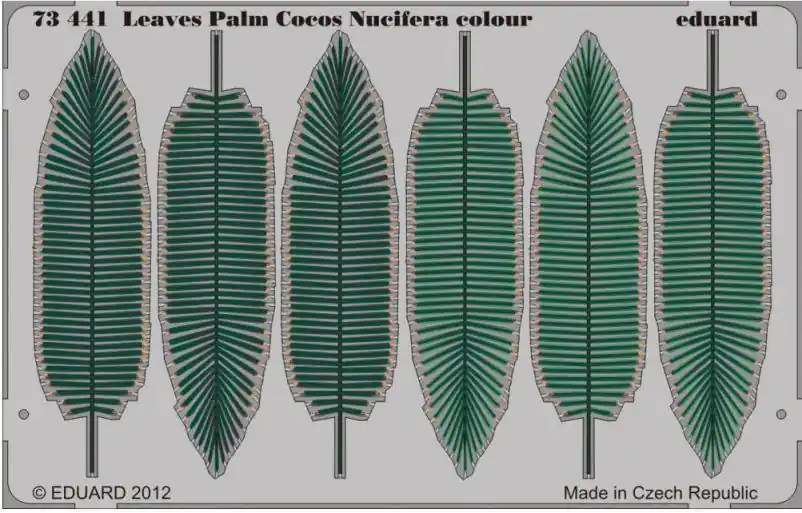 PALME DI COCCO Compra Oggi Stesso