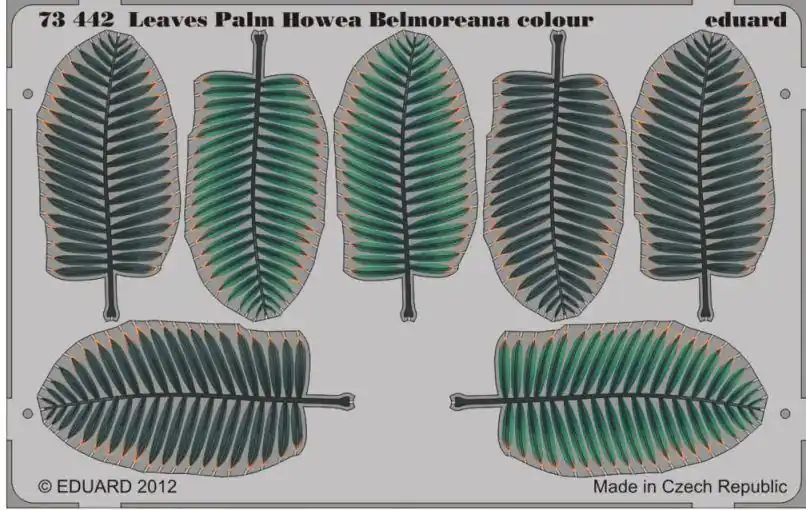 PALME DI COCCO LARGHE Nuovo Arrivo
