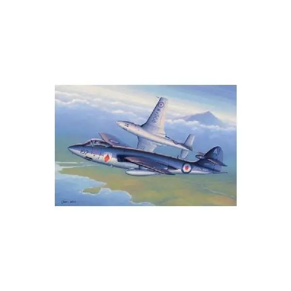 Esclusivo SEA HAWK FGA.6