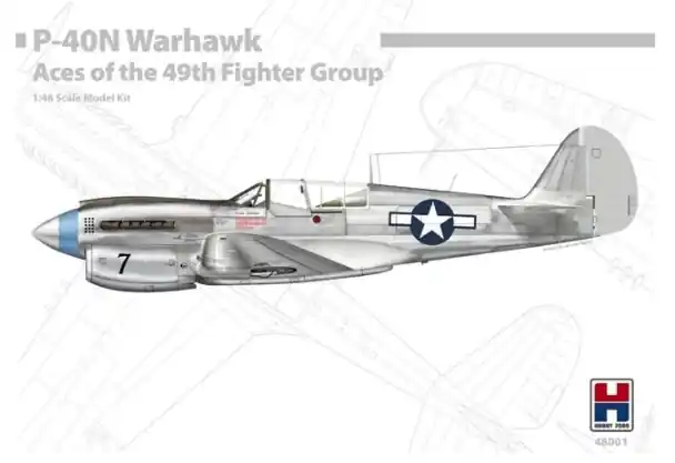 P-40N Popolare