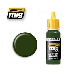 Forest Green Occasione Imperdibile