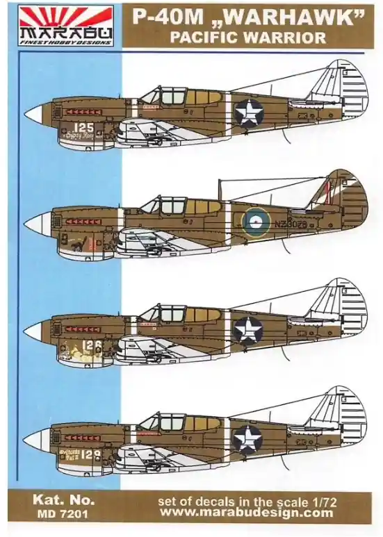 Spedito Oggi P-40M